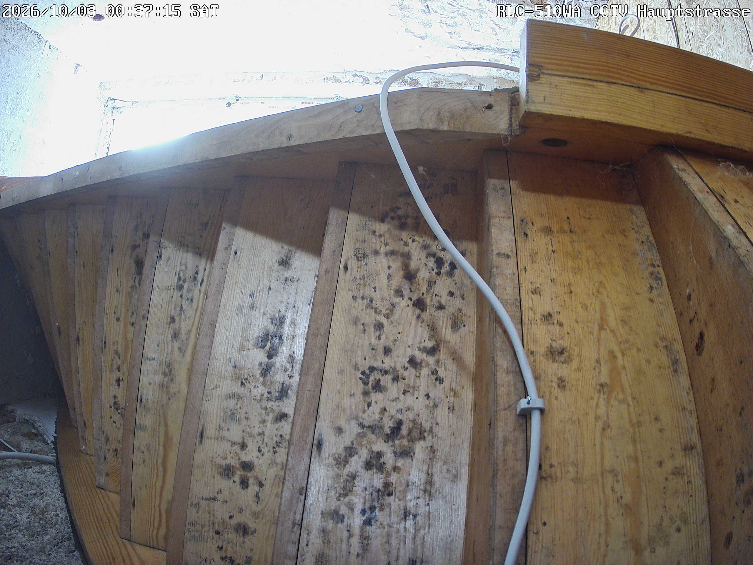 RLC-510WA CCTV Hauptstrasse_00_20261003003715.jpg